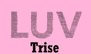 Understanding Luv.trise: Revolutionizing Wellness for Professionals