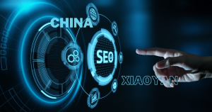 Xiaoyan’s SEO Odyssey: A Trailblazer’s Journey in China’s Digital Landscape