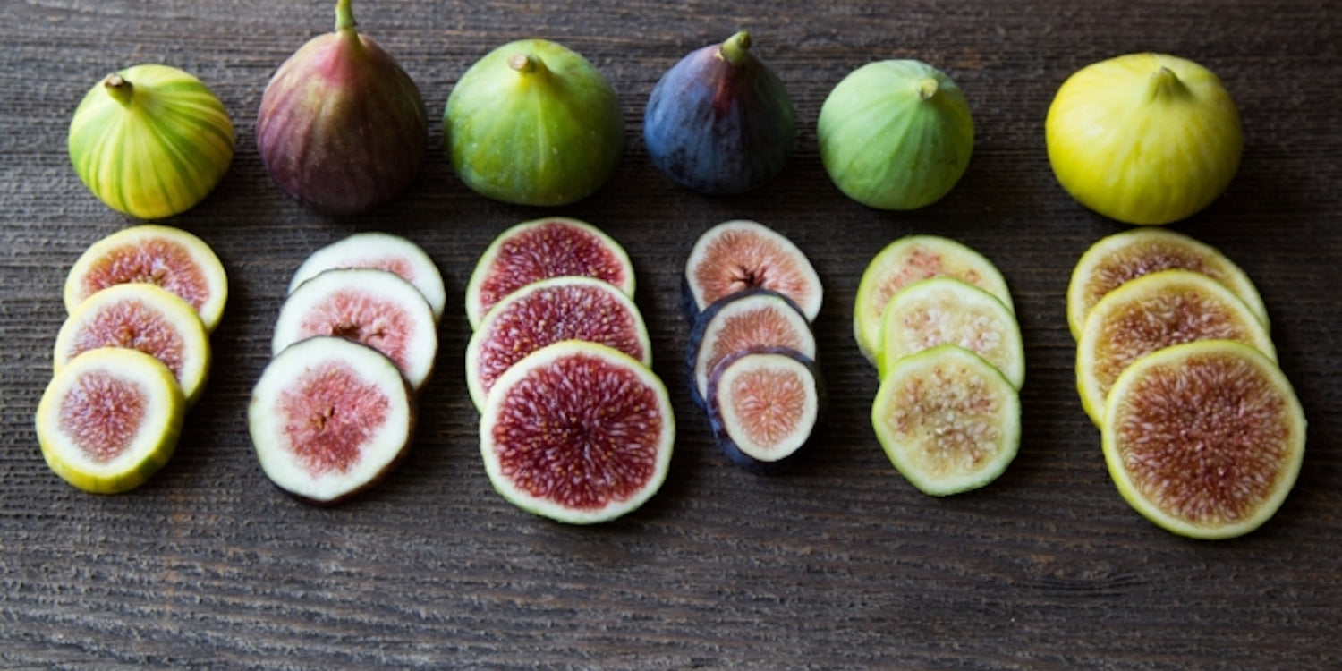 Friday Fig