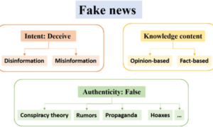 Emergence of Misinformation: Grasping the Phenomenon of Fake Hacking