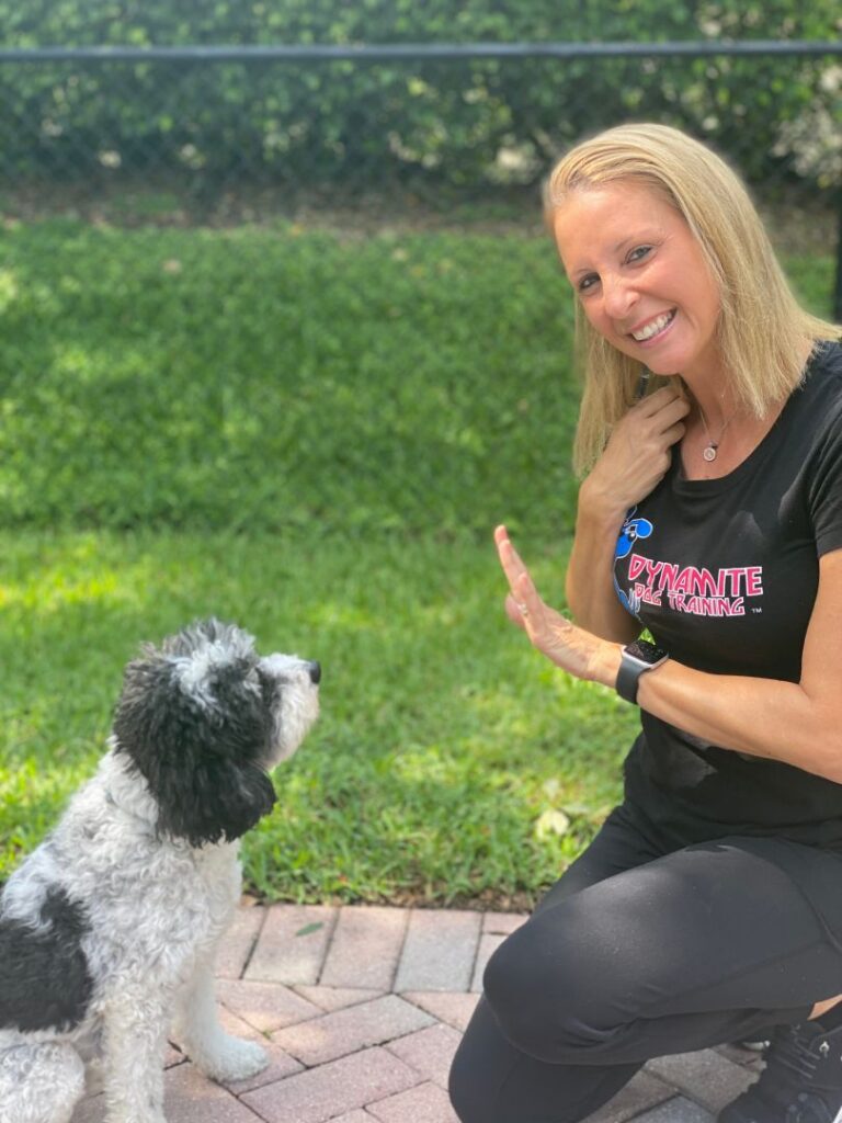 Unlocking Success with Dog Training in Miami: A Comprehensive Guide